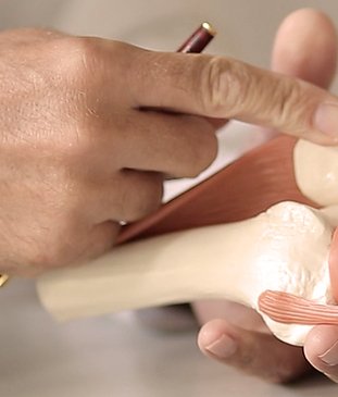 Slider image (2) CellReg Institute Dubai